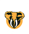 DSC Foundation Logo