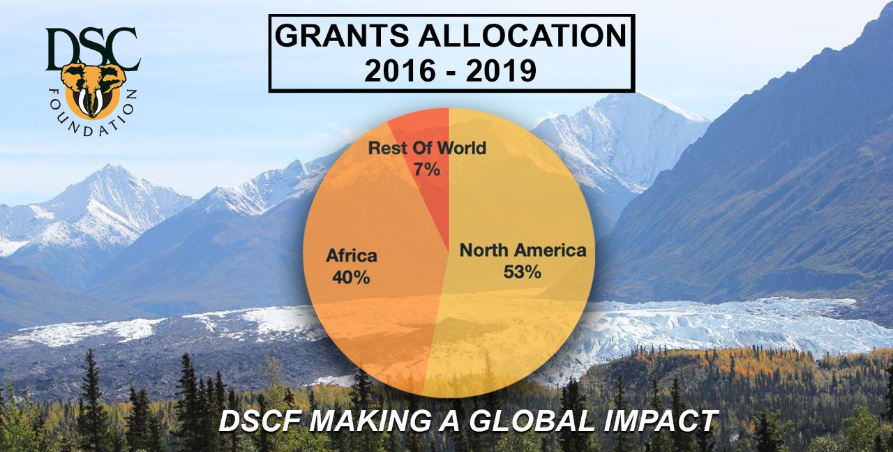 thumbnail_Grants Allocation Chart 2020